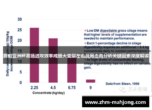 赛前亚洲杯赛场进攻效率成最大变量左右战局走向分析关键因素深度解读 赛前亚洲杯赛场进攻效率成最大变量左右战局走向分析关键因素深度解读